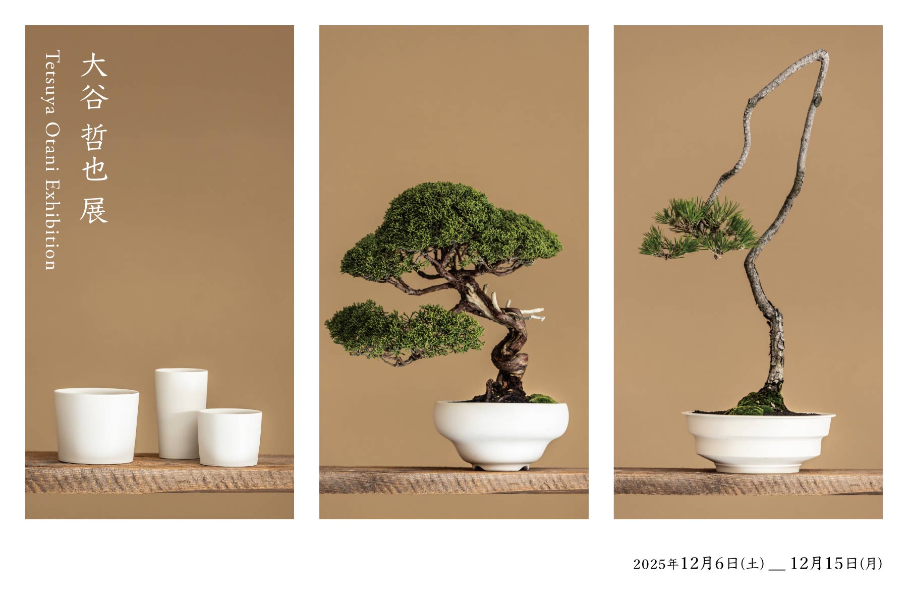 大谷哲也 展 Tetsuya Otani Exhibition