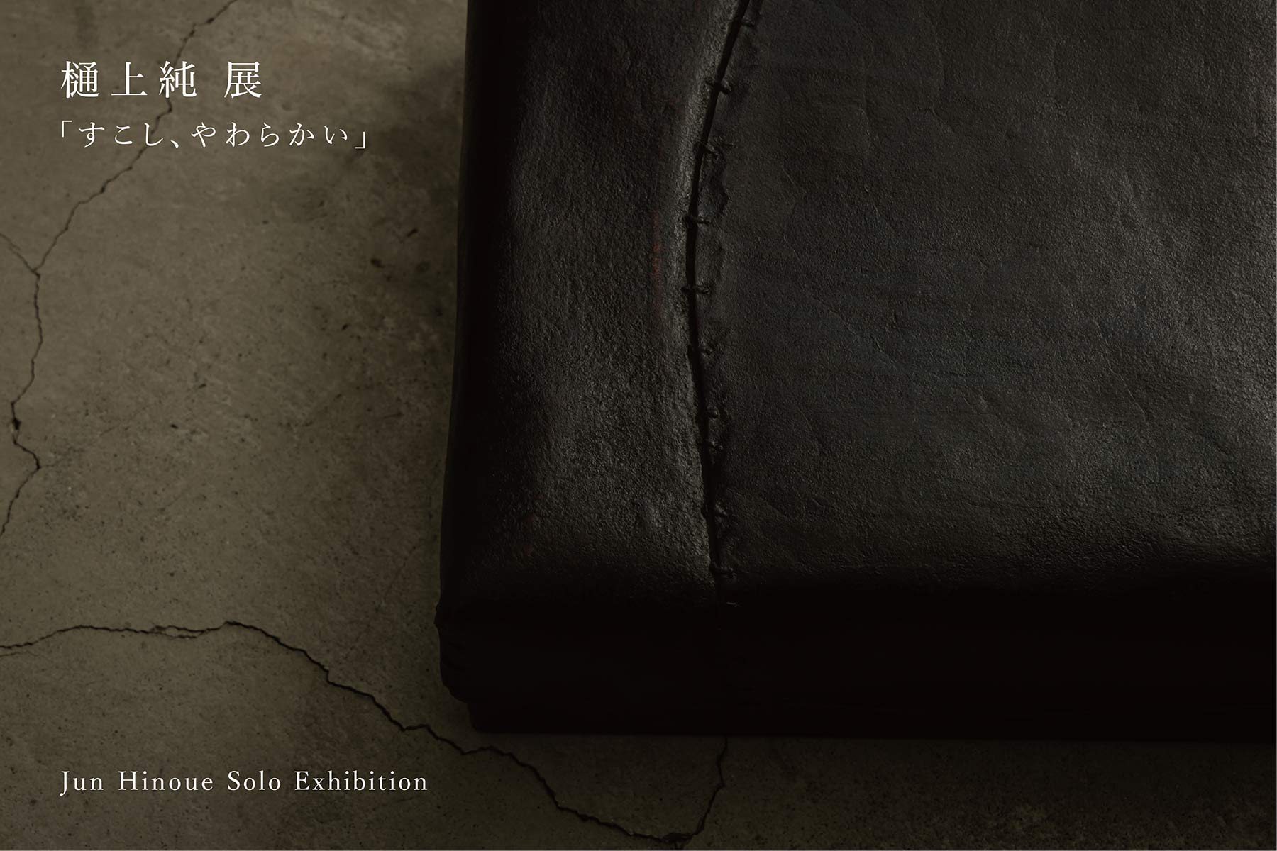 樋上純 展 「すこし、やわらかい」